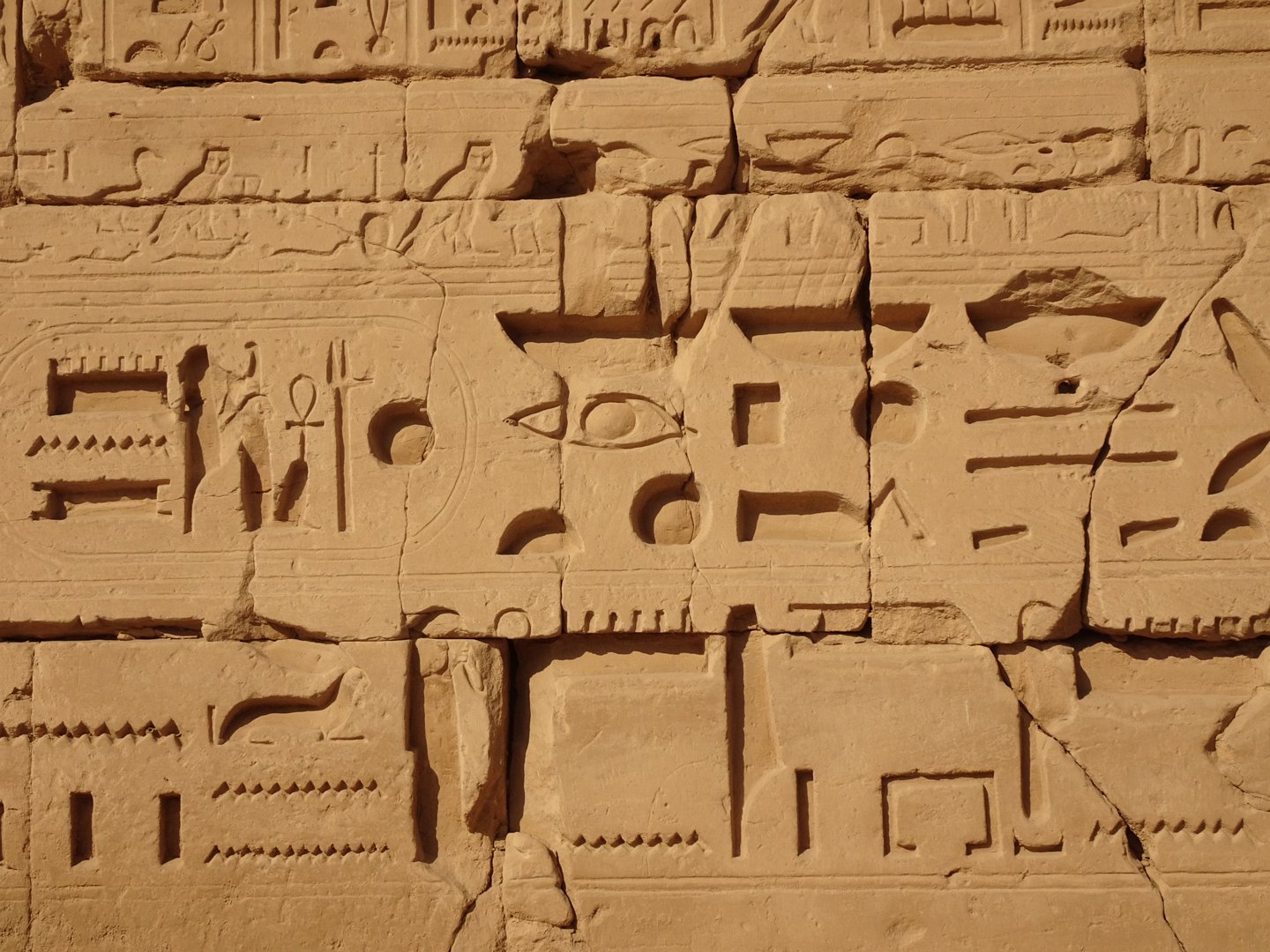 Egypt Journey. December 2019
