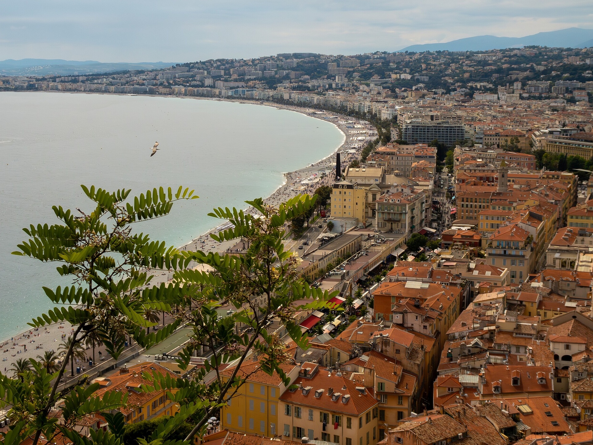 Nice Journey. May 2025