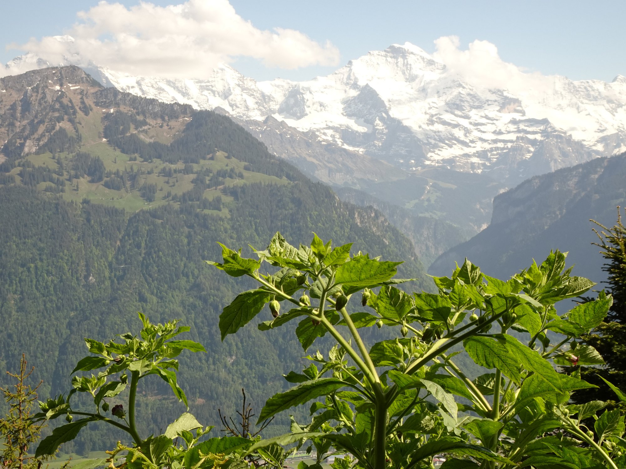 Switzerland Journey. May 2022