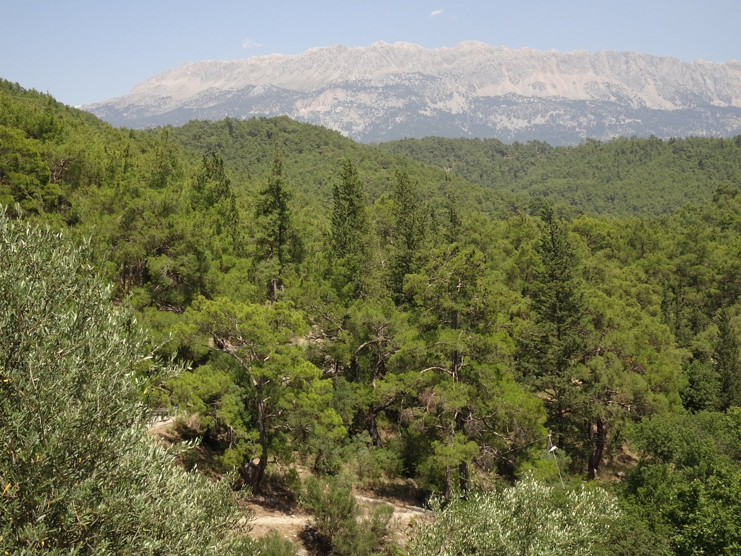 Turkey Journey. June 2021